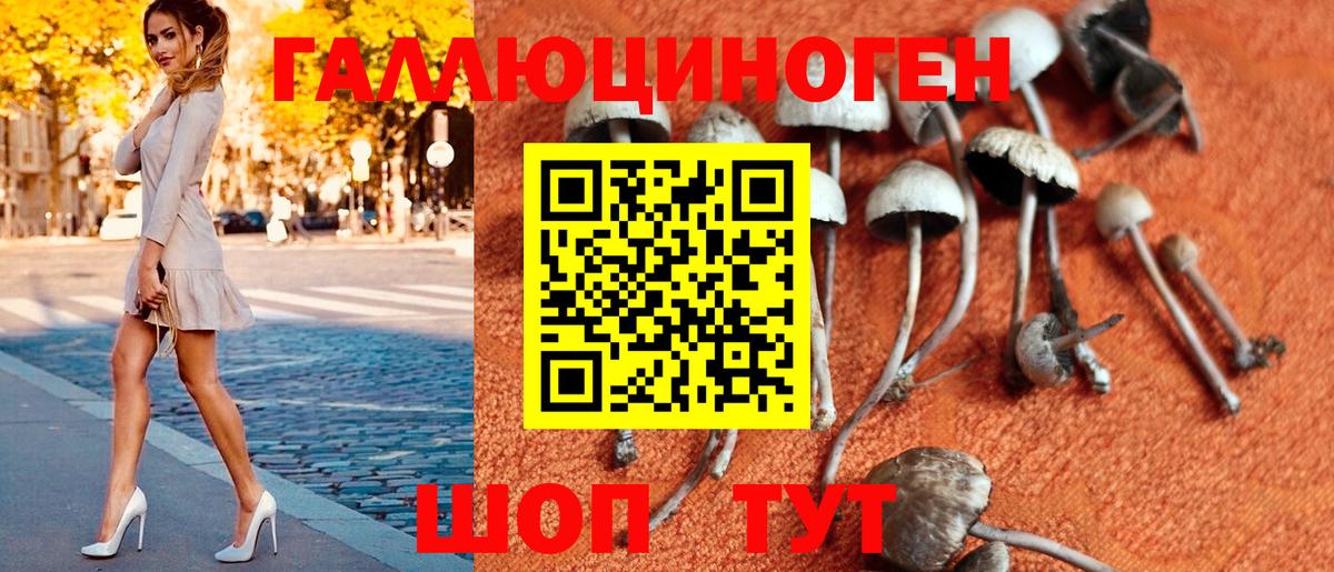 Галлюциногенные грибы мухоморы  Псилоцибиновые грибы Psilocybine cubensis  Вход с VPN  Мичуринск 